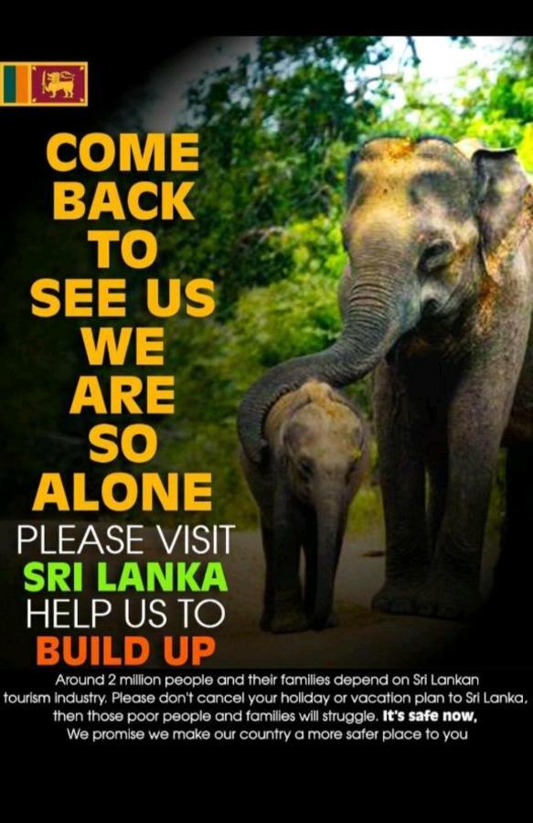 Tony'S Garden House Back Packers Inn Jaffna Luaran gambar